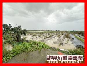 誠昱/塩水便宜農地